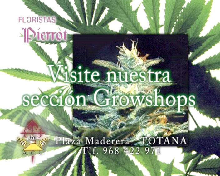 Imagen comercial de Pierrot Floristas