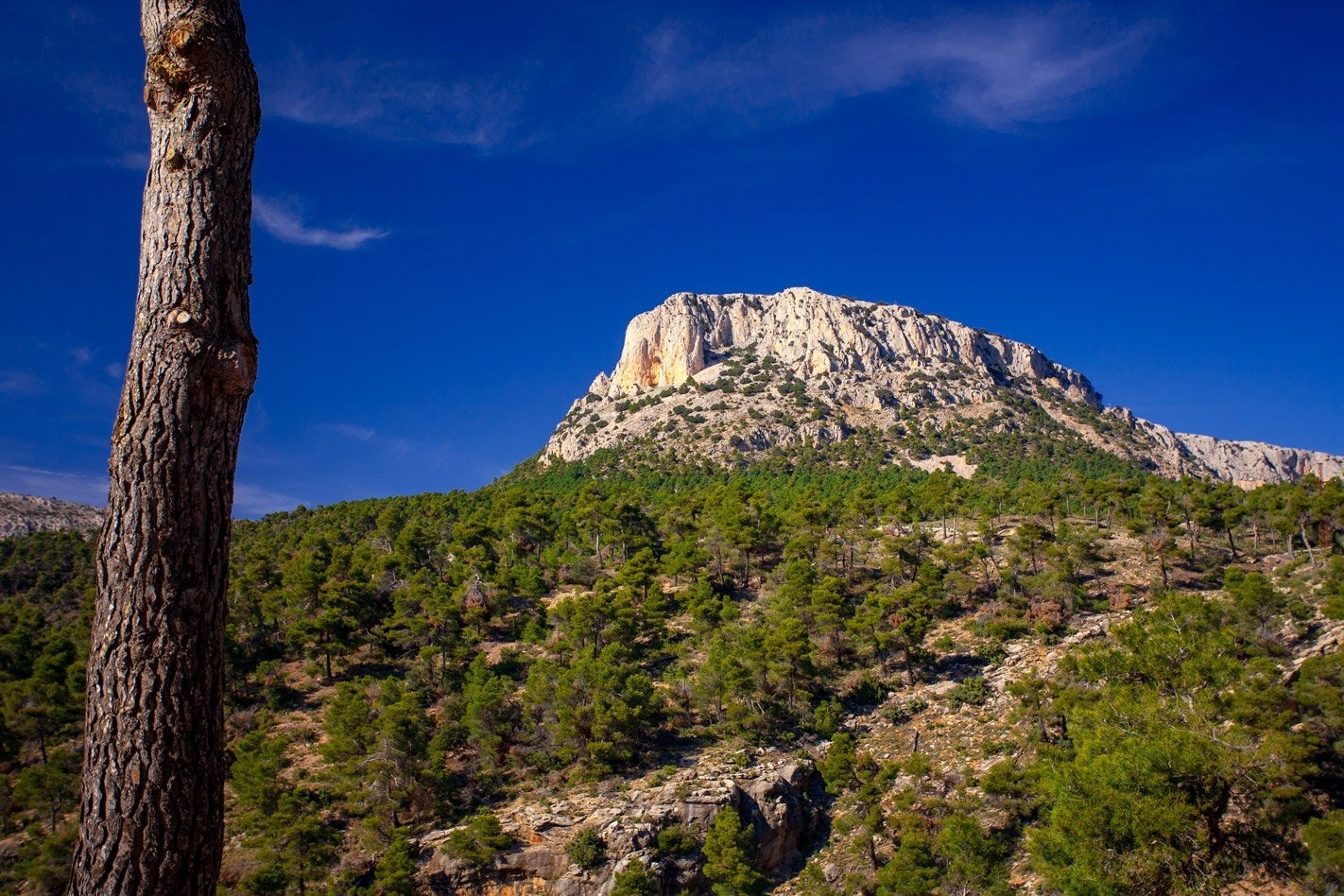 Sierra Espuña
