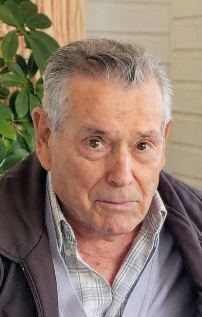 Francisco Andreo Gomez