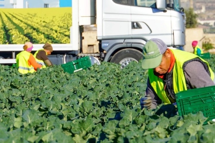 Totana lidera el incremento de afiliados a la Seguridad Social en la Comarca del Guadalentín durante el mes de julio